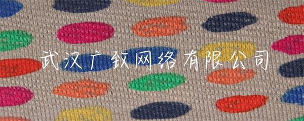 武漢廣致網絡 專業賦能，打造卓越的企業網站建設解決方案