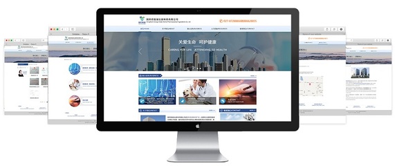 金百瑞科技助力國藥控股集團(tuán)官網(wǎng)成功升級(jí)，彰顯武漢企業(yè)網(wǎng)站建設(shè)實(shí)力